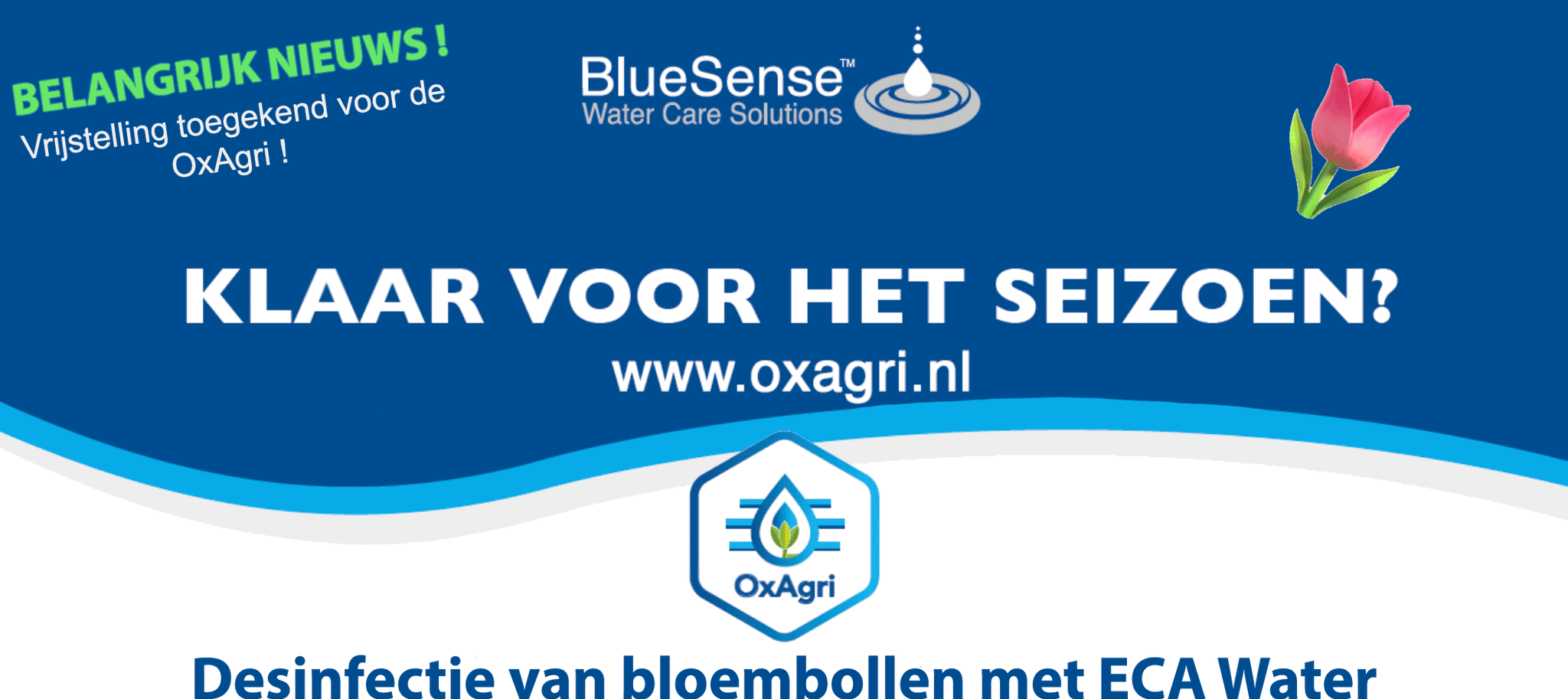 BlueSense Water Care Solutions on Twitter: 