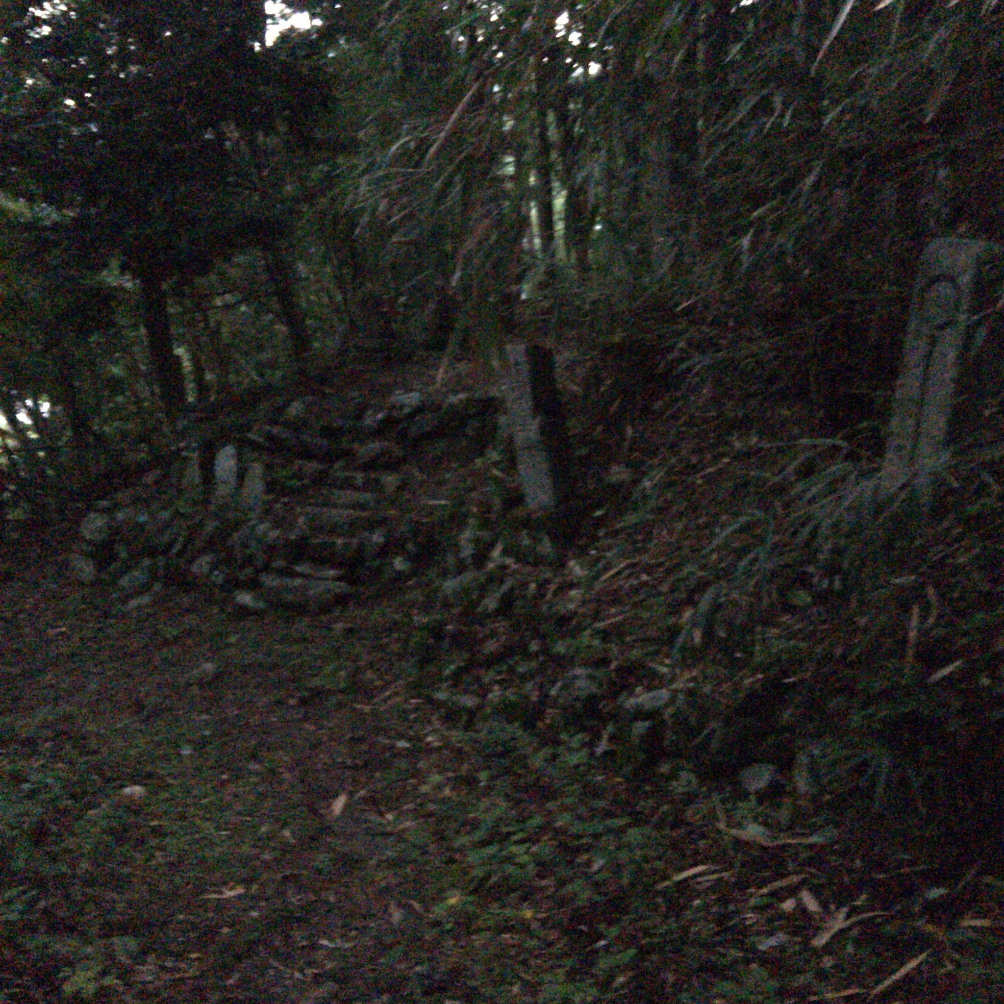 える この土日に長野に旅行行ってきたんだけど 帰りがけに大町市にある女生山集落っていう廃村に行ってきた T Co Ins6r0drhr Twitter