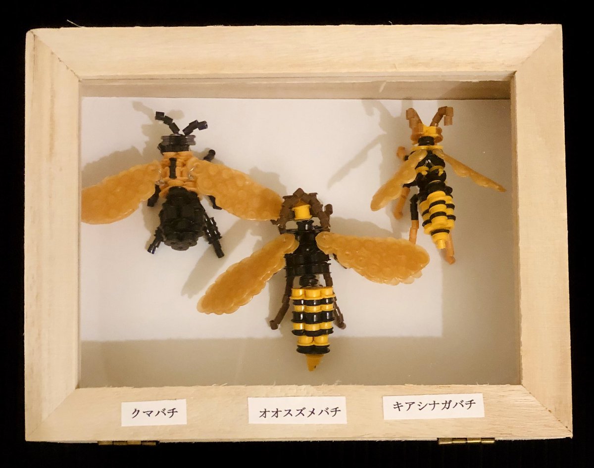 アイロンビーズ 【アイロンビーズで昆虫標本】 No.4ハチ ・クマバチ