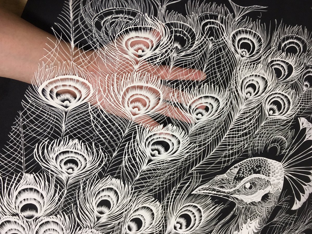 一枚の紙を切り抜いて描く単純平面切り絵です。
飾り羽の重なりの部分の下描きを描いてた時は少ない脳みそが沸騰しそうでした。
#切り絵 