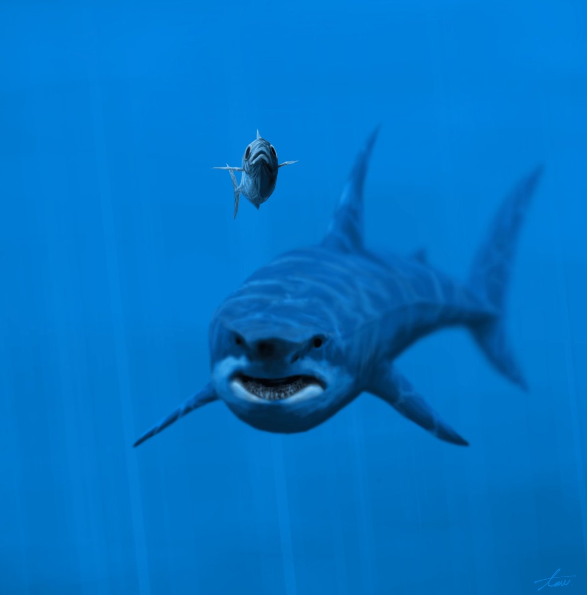 Twoucan ホホジロザメ の注目ツイート イラスト マンガ