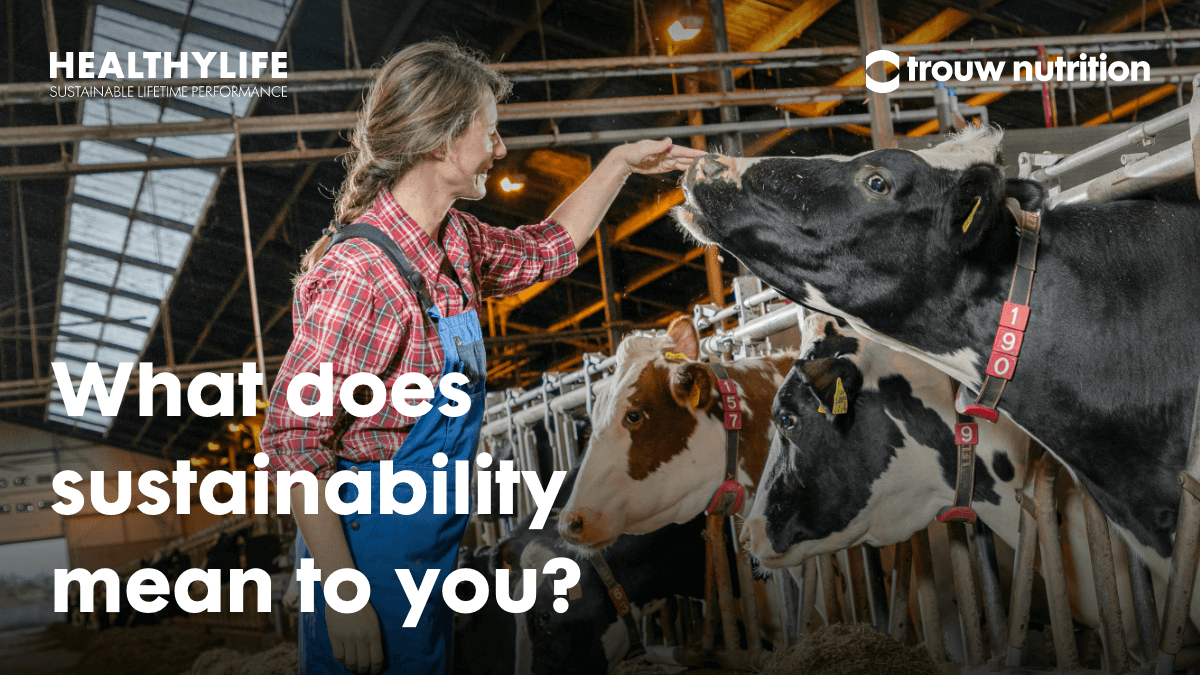CalfLifeStart's tweet photo. Are you committed to #sustainable dairy farming? Then you could be in with a chance of receiving up to €10,000 as part of the HealthyLife Grant. Find out more here https://t.co/Z35mUFPCRD
#SustainableDairy #HealthyLife https://t.co/AyQGRBX9Xs