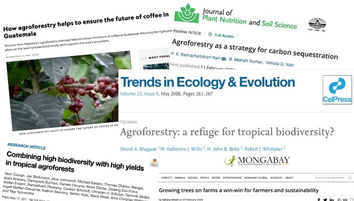 2/12 Tropical agroforestry for crops like  #coffee,  #cacao or  #vanilla is often seen as an opportunity to conserve ecosystem functions and  #biodiversity……while also providing an income opportunity for smallholder farmers.