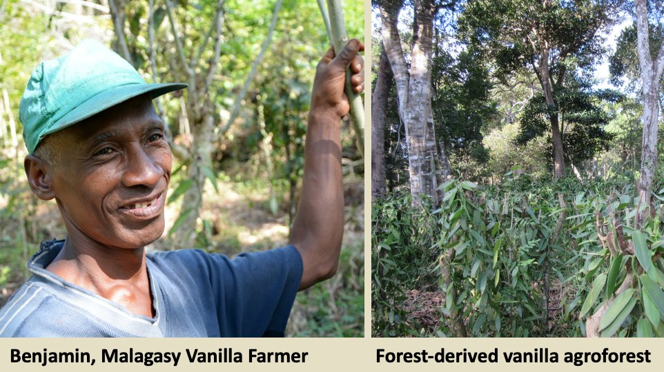 10/12 In summary, our paper shows that incorporating land-use history in tropical  #agroforestry research and policy is necessary to realise the potential of agroforestry for people and nature.