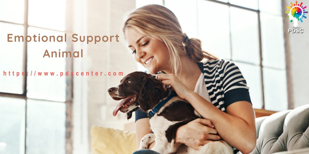 ESAcenter's tweet photo. If you are suffering any mental disability, then an emotional support animal is a pet that provides companionship to you. Visit here https://t.co/tHMRPzm6wV to register your pet as an ESA.
#EmotionalSupportAnimal
#EmotionalSupportDog
#ServiceAnimalletters
#ESALetter https://t.co/k35EwiTnl7