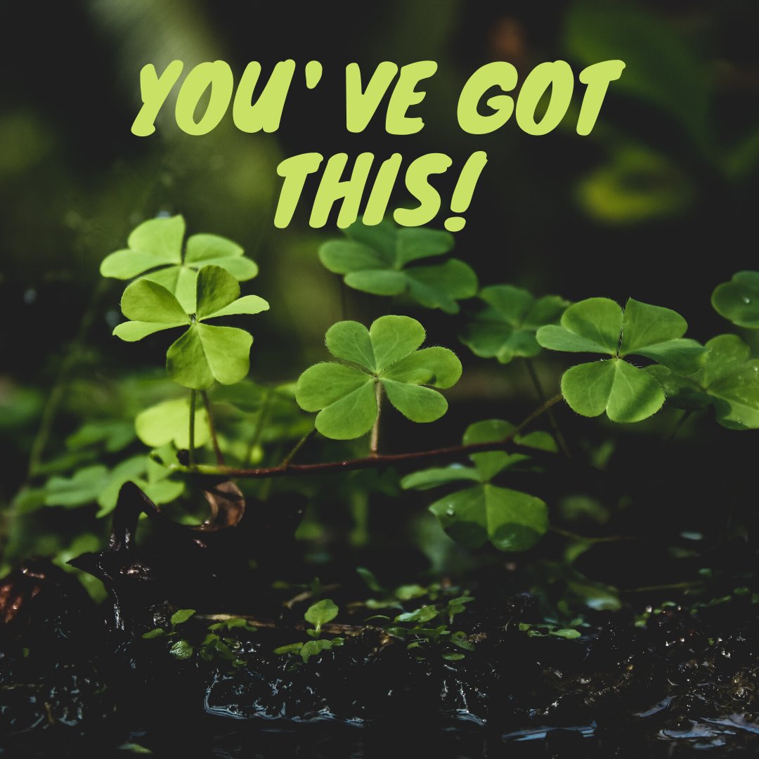 anyone opening their doors again today, You've got this!

Enjoy it, breathe, keep going, keep smiling.

You have got this 🥰👊👊❤️

#businesssuccess #businessgrowth #businesscoaching #growingyourbusiness #actioncoach #businesscoach #businessmotivationessowner #actioncoachnell