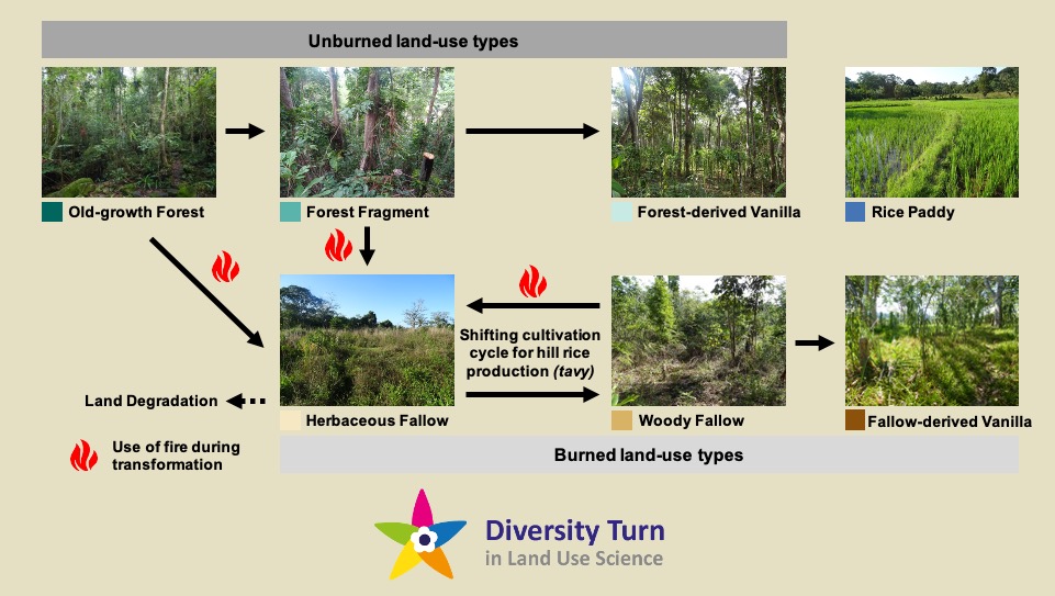 11/12 Within the  @Diversity_Turn project we specifically compare  #vanilla agroforests of contrasting land-use history with their respective baseline.More research on , , , , , , , yields & ecosystem functions is under review or preparation!Follow us for more!