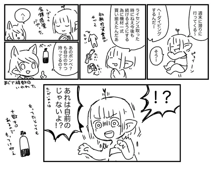 ダイビングやらなきゃそりゃ知らんわなっていうウエイトの話 