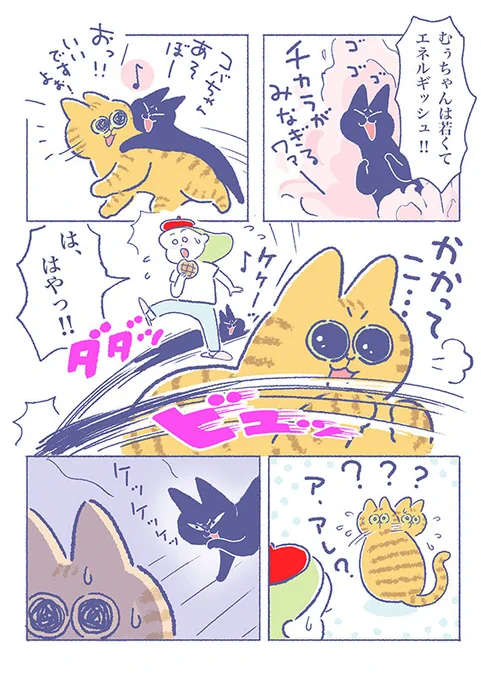 「むぅちゃん3サイ、やんちゃ盛り♪」

夜になると冴えるのか部屋中を走り回るむぅちゃん。
そして切り替えの速さもピカイチです(*'∀`)

(吉濱あさこさんの「イチャ猫」)更新!2枚目はコチラ⇒https://t.co/Nk3nUDoo0H

#イチャ猫 