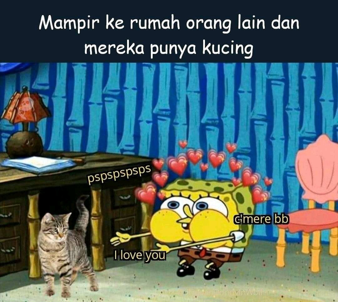 tasikfess's tweet photo. Dak cung nu sok kararieu :( urg sok teu kuat mun aya ucing ngaliwat hyg memeluk dengan erat 😭 https://t.co/v7qkJrtGoW