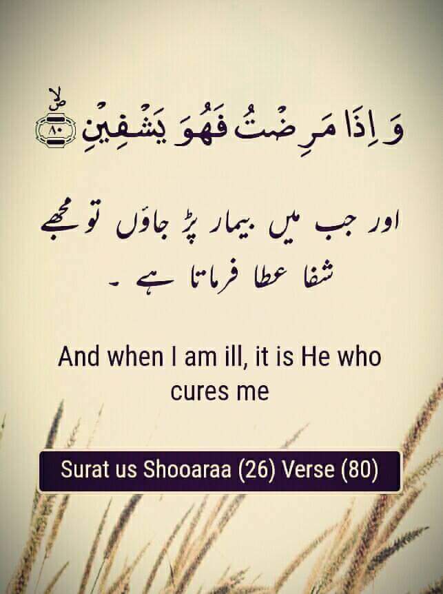 MuhammadKhursid's tweet photo. #Pakistan can become one of the greatest nations in the comity of nations if we turn our attention to #Quran as this book has solution to all problems. This is true Qur'an has prescribed best #SOP for controlling #CoronavirusPandemic
#VoiveForPeace #PakistanVowsPeace #Islam https://t.co/b3msJf1LyV