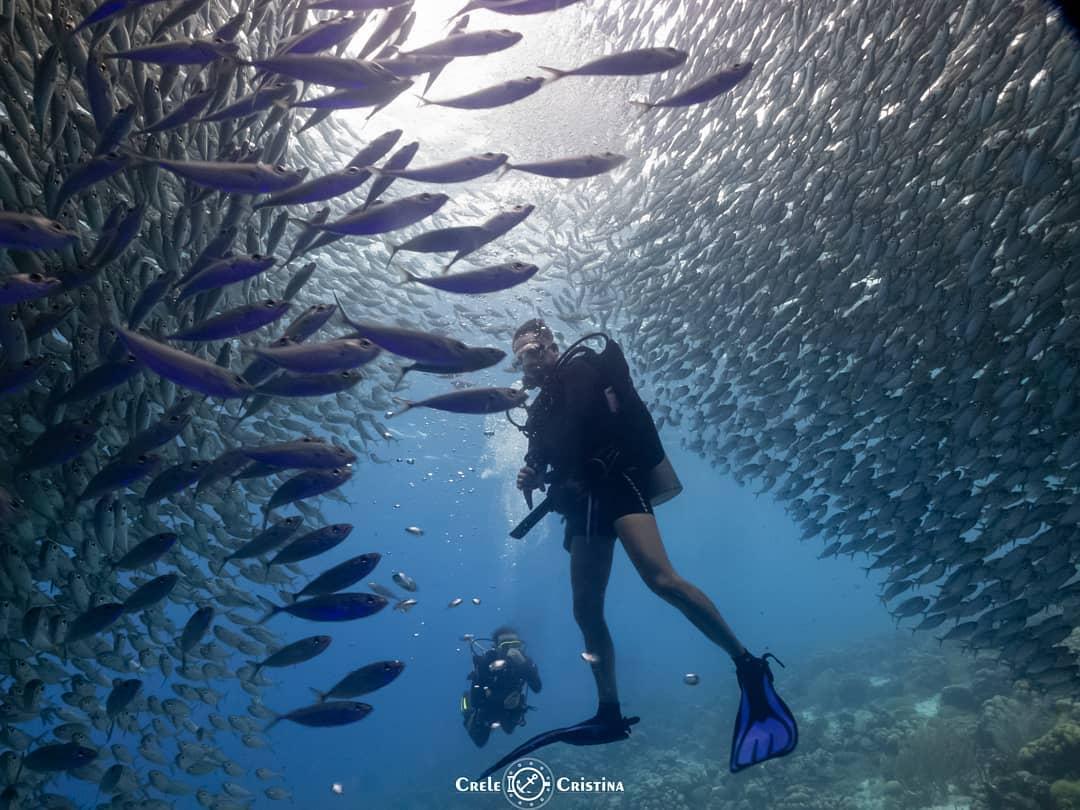 "Photography takes an instant out of time, altering life by holding it still." Dorothea Lange #naturephotographyday 
📷IG user @crelecristina