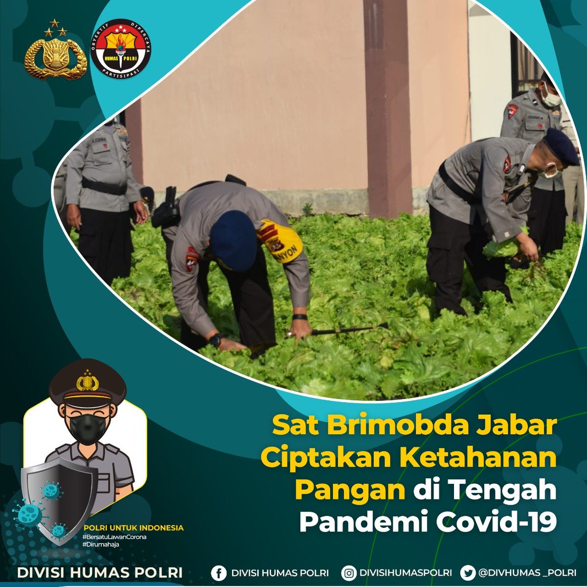 DivHumas_Polri's tweet photo. Danyon B Pelopor Sat Brimobda Jabar AKBP Sarly Sollu, S.I.K., M.H., memimpin langsung kegiatan memanen sayur-sayuran hasil dari pemanfaatan lahan kosong dalam rangka ketahanan pangan di tengah pandemi covid-19, Markas Batalyon Cikole, Kabupaten Bandung Barat, Minggu (15/6). https://t.co/QMVOsW0m05