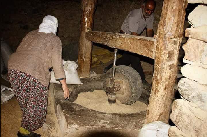bav pişt e, dayîk her tişt e...

Jin, dîrok e
kedkar e 
xwezaye 
rûmet e
berxwedêr e
dilovan e
dayike 
û jin jiyan e
jiyanê nekujin

Gundê Sermêt yê geliyê Qursincê, Hîzan-Bedlîs

Rojbaş, Beyanî baş, Sodirê şima xêr