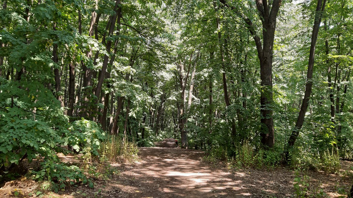 hikingisheaven's tweet photo. Weekends are made for exploring 😉
#exploringBucharest #Bucharest #ig_romania #igersromania #ig_bucharest #igersbucharest #hikingisheaven #forestphotography #forestwalks #nature #naturephotography https://t.co/2q6BDhvsAs