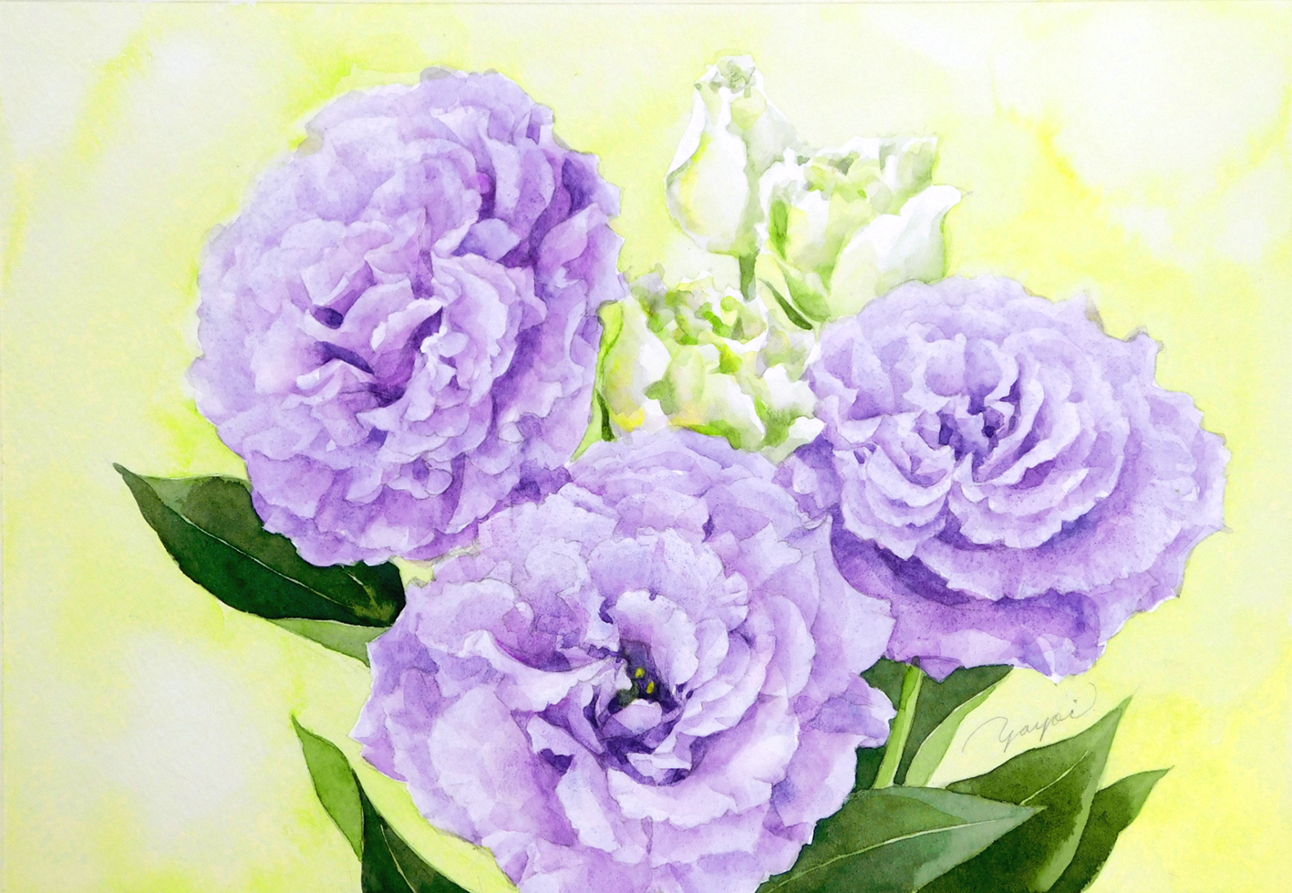 トルコ桔梗 油絵 油彩 絵画 花の絵 原画 F3号 絵画 - 絵画