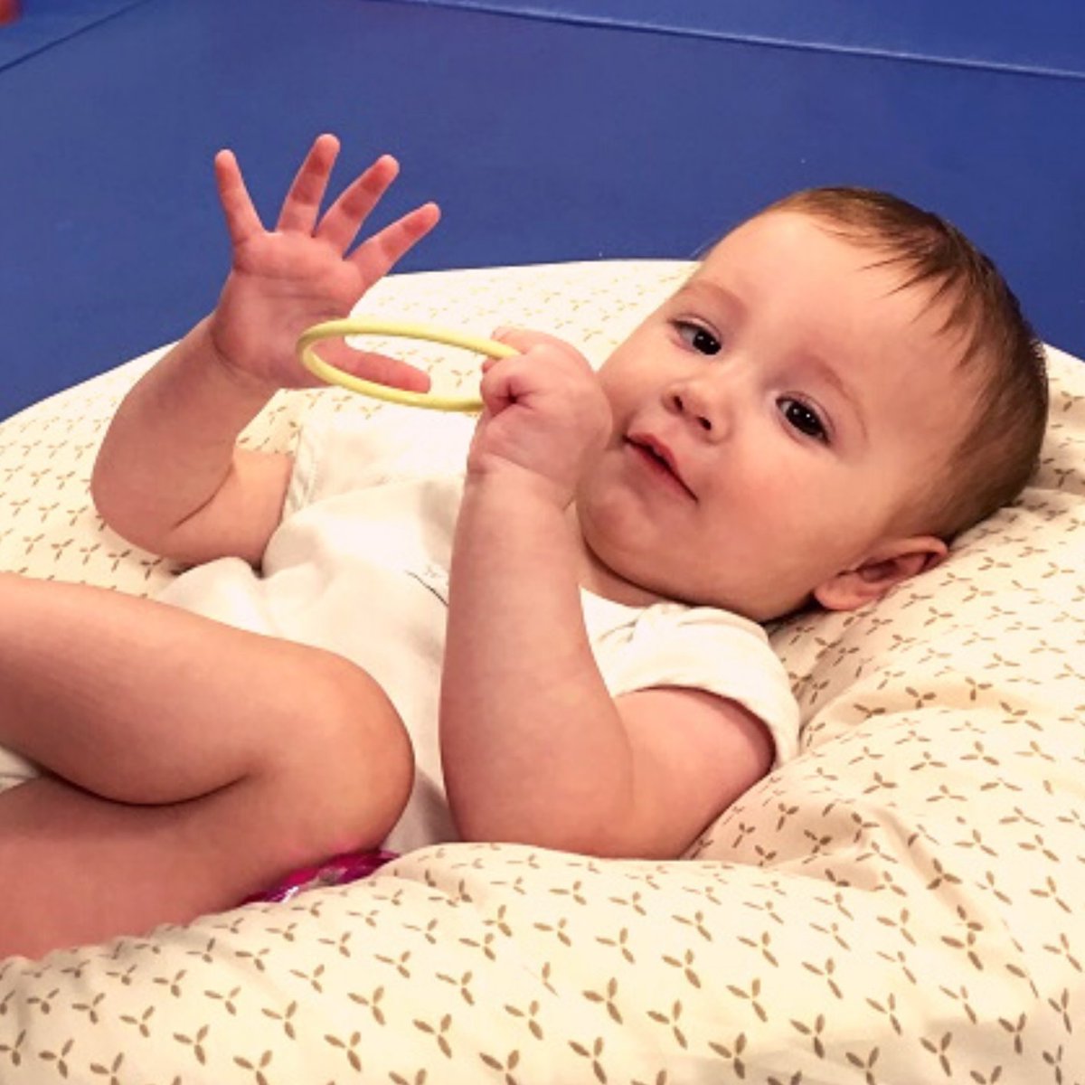 Bobath_Centre's tweet photo. Sign up on our website to Wednesday’s Bo-Baby session, hosted on #Zoom at 10am. Prepare for music, singing, movement and making friends, aimed at babies up to 2.5 years old #bobaby #cerebralpalsy #bobathcentre #cerebralpalsybaby https://t.co/DXnOEBYYm5