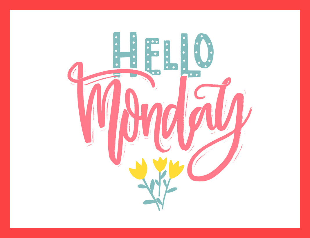 @NewsMagMedia tweet media