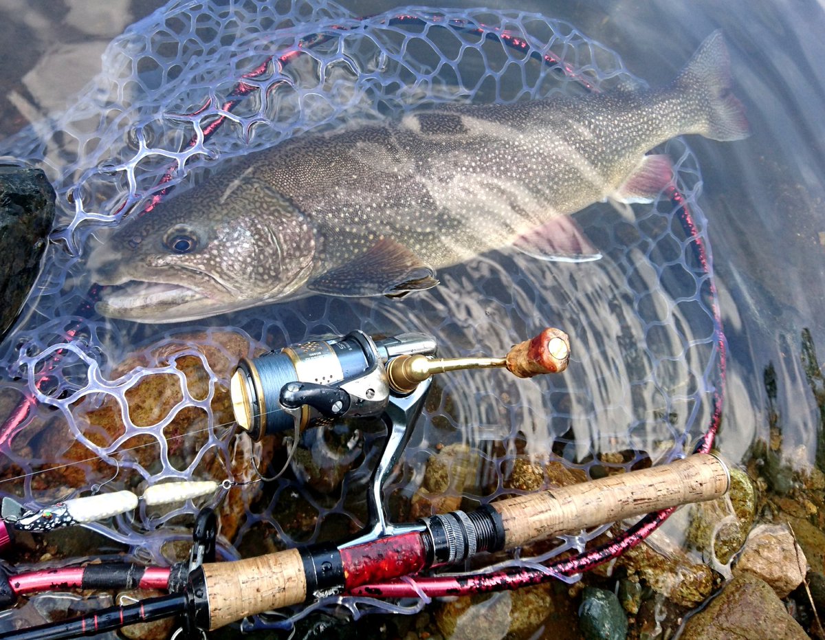 Sunozou 久しぶりに半日管釣りへ まーまーのレイクさん 他数名 適当に作ったハチのルアーが数は一番釣れた サイズは中々出ないけどやっぱりトップあついすね そろそろ本流へ行きたい おくとね ミノーイング テレストリアル エリアフィッシング