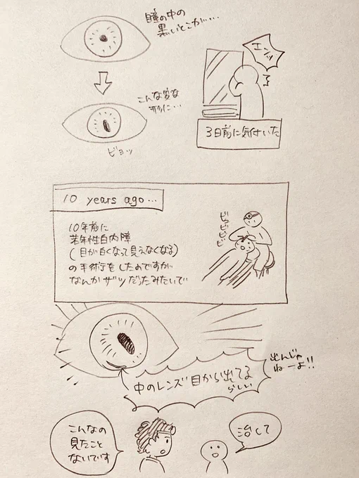 今日眼科行ってきたんですが…。

もともと右目は手術後もほとんど見えてない状態で10年描いてきたので今更困らないのですが、このままだと危ないらしいので近々手術します?(手術自体もなかなか危険らしい…)

急に休載が続いたりしたら…察してやってください…。 