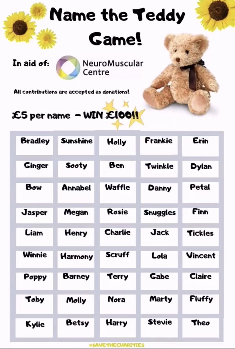name the teddy 100 names