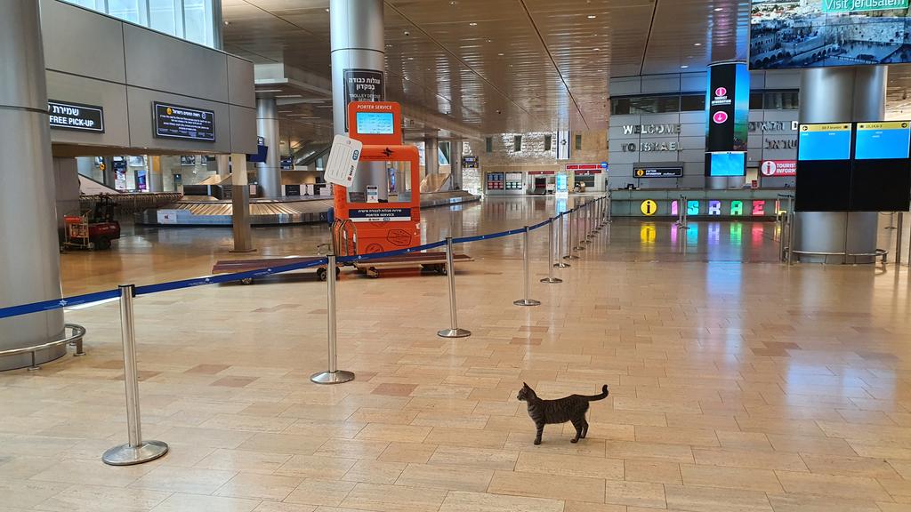 Αεροδρόμιο Τελ Αβιβ