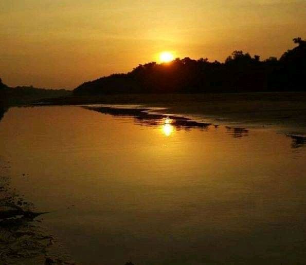 Cantar de gallos y chechenas en la orilla del río, dos guacharacas asomando el día. Cascar de caballos, y bramidos, anuncian alboroto en el corral. Hombres llamando vacas por su nombre. Melodías q dan inicio a la jornada. Orgullosos de esta fábrica a cielo abierto. #Estero bdVzl