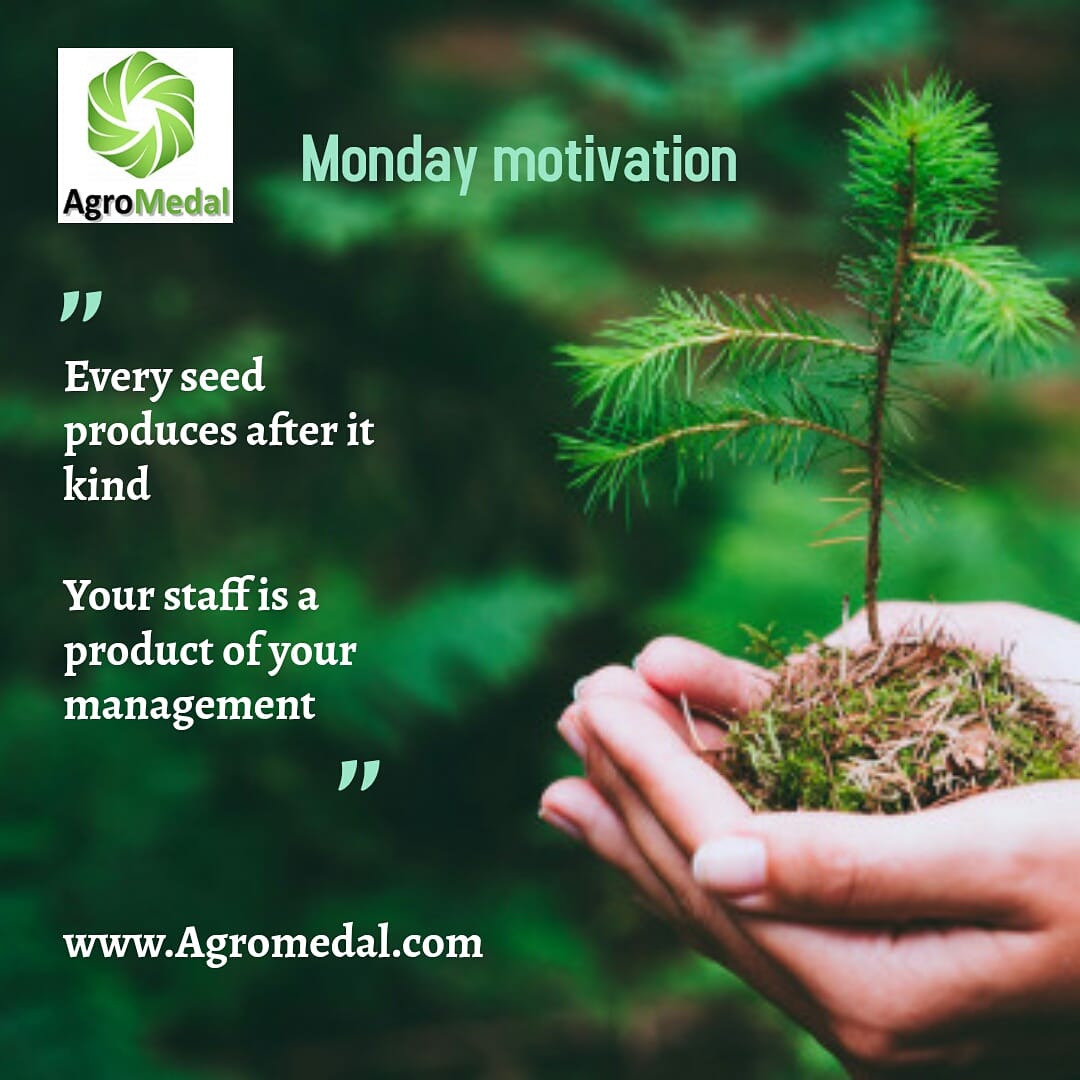 agromedal's tweet photo. Happy new week! 
Every seed produces after it kind.
A good management produces good staff.

https://t.co/BRYR0ci6d4 
#africa #farming  #nigeria #abuja  #agrotech #agrainnovation #agritech #farms  #dangote #mantruck  #monday #mondaymotivation #happynewweek https://t.co/zeE76rdrdM