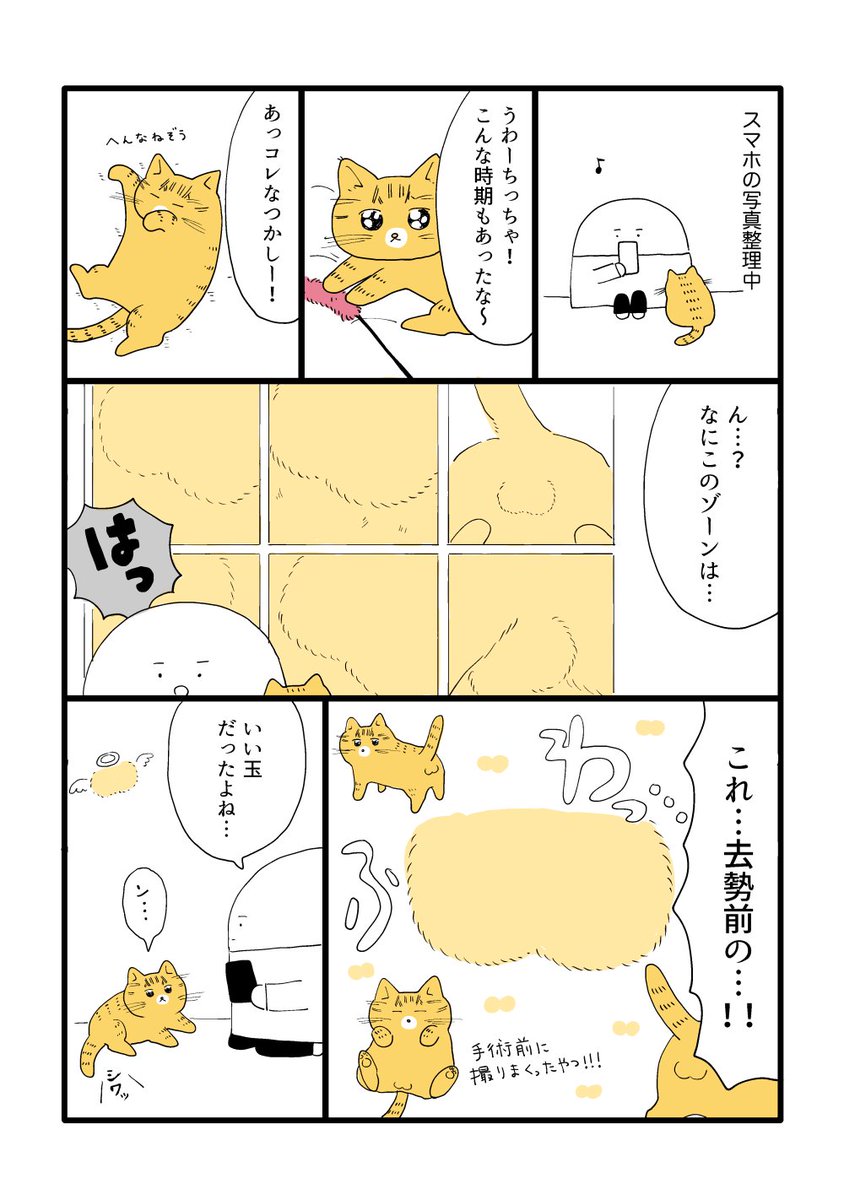 カメラロール 