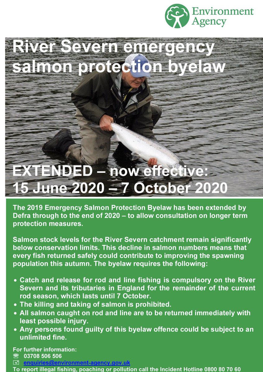 ChrisBaingerEA's tweet photo. #Severn #Salmon #Anglers URGENT NEWS

As of today 15th June the Severn Salmon Protection Emergency Byelaw has been extended by @DefraGovUK to the end of 2020

All salmon caught on #RodandLine must be returned immediately with the least possible injury.
 
https://t.co/5otWNg0oCH https://t.co/IlNZDjiDKt