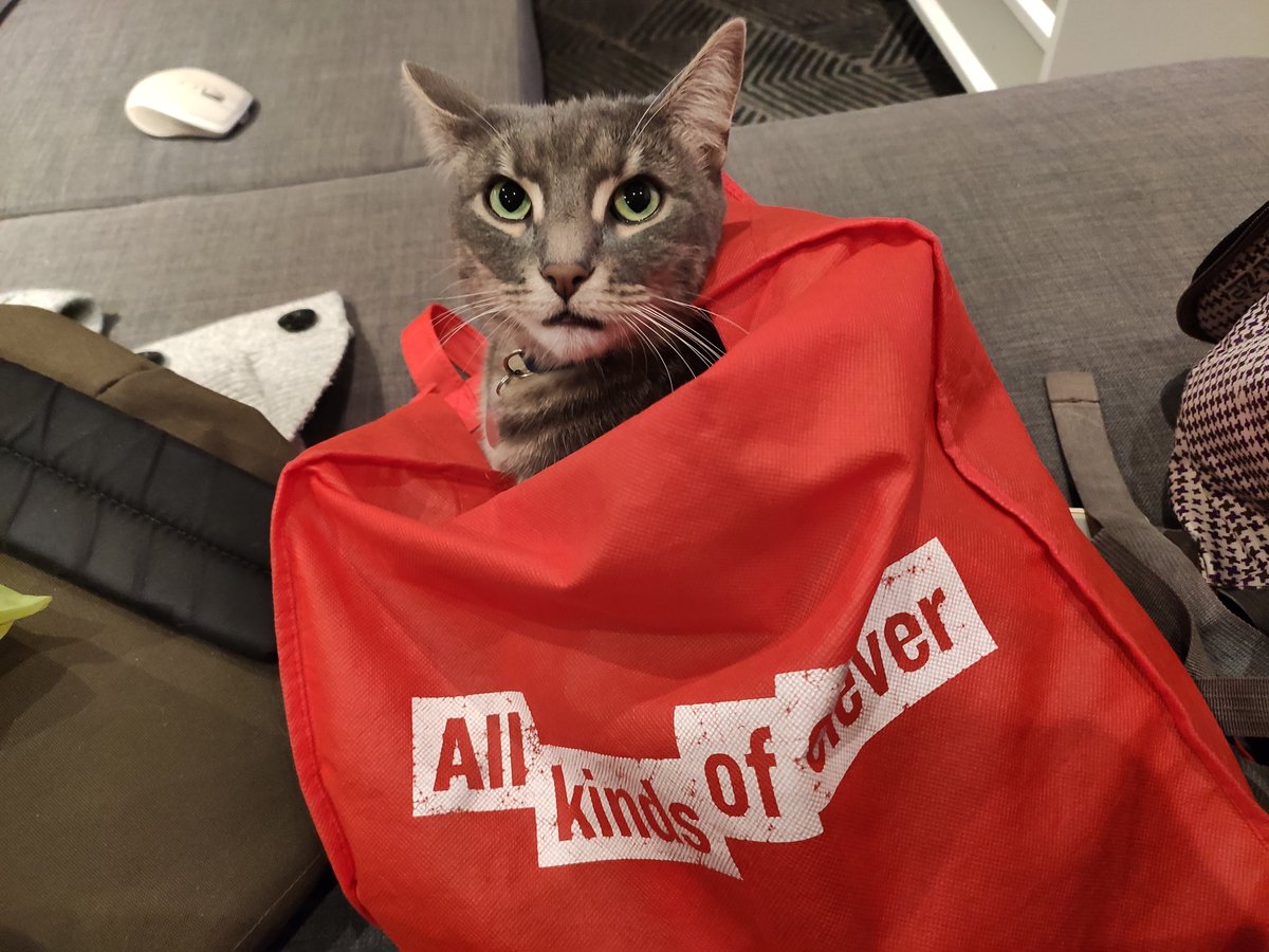 CoralieBoulet1's tweet photo. My cat is #AllKindsOfClever @latrobe π€£ #petsofLTU https://t.co/zGM5FQBVX3