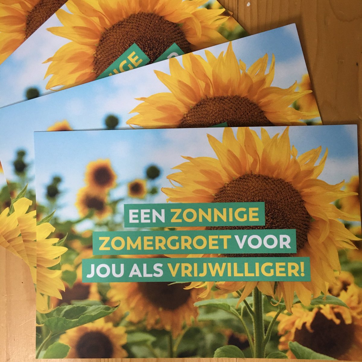Onze campagne is begonnen! Deze week worden álle vrijwilligers van Stichtse Vecht in het zonnetje gezet! Wil je meer weten of als vrijwilligersorganisatie meedoen? Kijk op bit.ly/37GzzIl

#vrijwilligerinhetzonnetje #vrijwilligerswerk #stichtsevecht