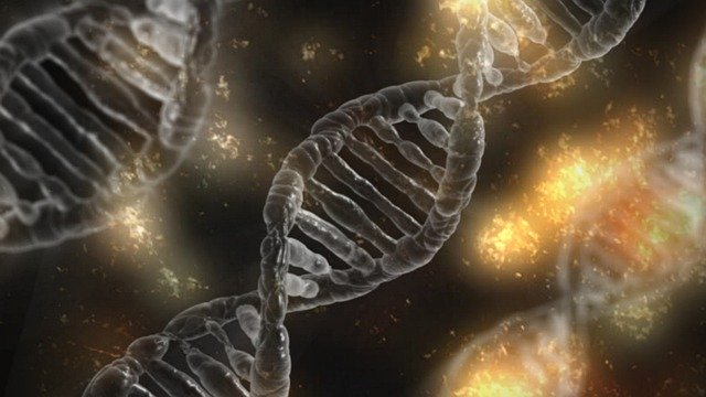 SarahTa37510458's tweet photo. Researchers have developed a method for self-assembling nanostructures with gamma-modified peptide nucleic acid ,a synthetic mimic of DNA.

To be a part of a webinar event and to discuss your research work, submit your abstract at https://t.co/yOJAQIQlVx

#DNA #research #webinar https://t.co/TITJUDRrPP