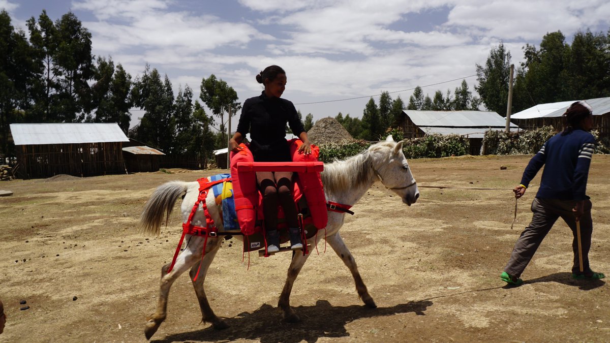 Mules and horses saving lives in the Simien Mountains, Ethiopia #InternationalWorkingAnimalDay