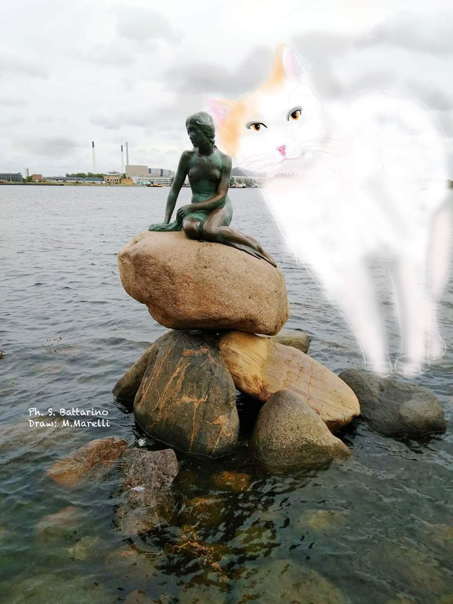 MonicaMarelli's tweet photo. Piumino in the Cities: Copenaghen. Thanx Ph. Stafania Battarino https://t.co/tBoCkrwgB4