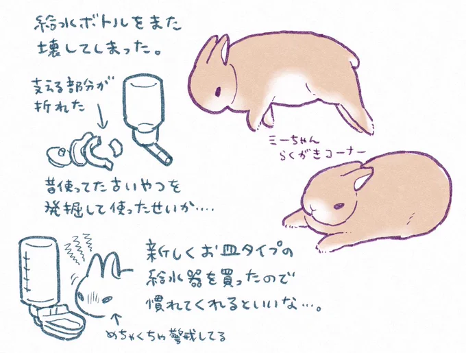 うさぎ日記です。 