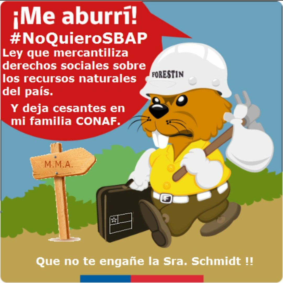 SINDICATO SITREM tweet media