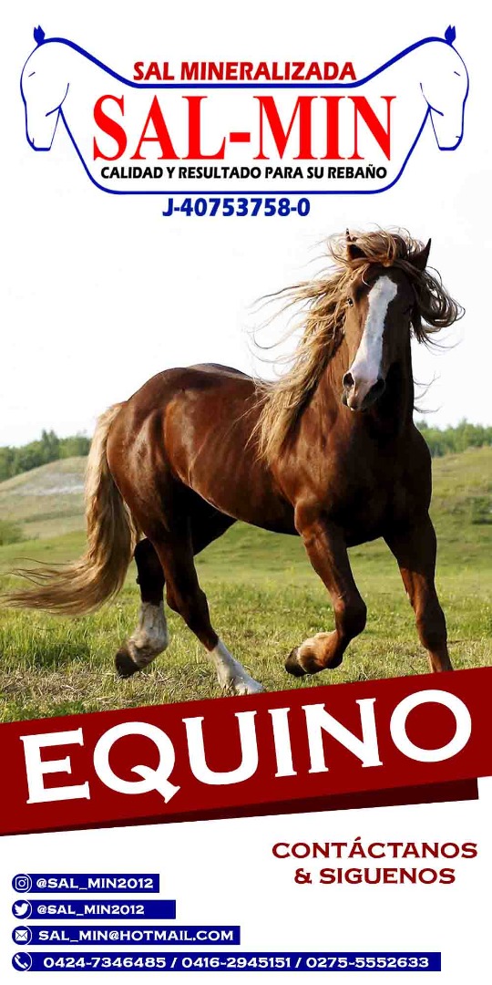 sal_min_2012's tweet photo. DISPONIBLE. ⭐SAL-MIN⭐ Equino de 5 kg para los campeones de tu establo. https://t.co/bDcJPClATd