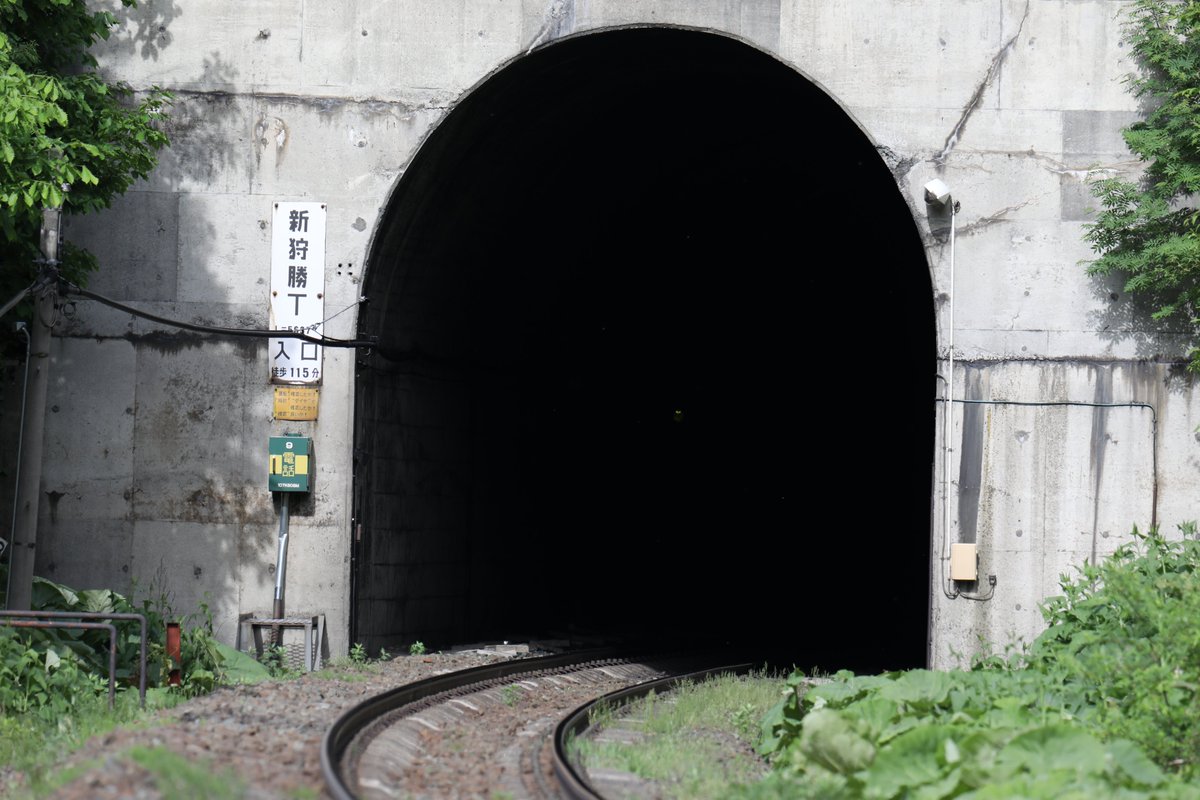蕗ノ台 ルピナスの花も どうにも廃線イメージが強いんですけどね 深名線が無くなった年を思い出します 6 12 Jr 北海道 根室線 落合駅