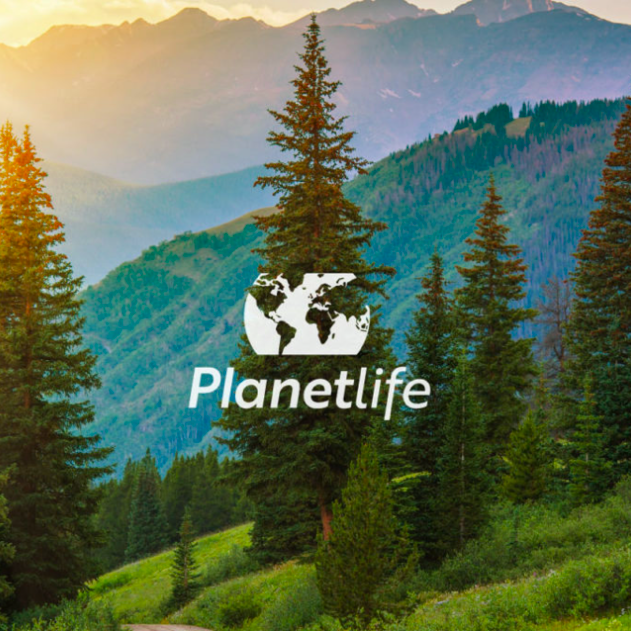 weareamundsen's tweet photo. Hoy queríamos enseñaros PLANET LIFE uno de esos proyectos que nos emocionan y nos llevan a donde queremos ir... a un mundo protegido y sostenible, donde la creatividad juega un papel importante 🌎 Conoce más del proyecto aquí: https://t.co/dF4AuOo9iX  #creatividad #planetlife https://t.co/YbphujhxDQ