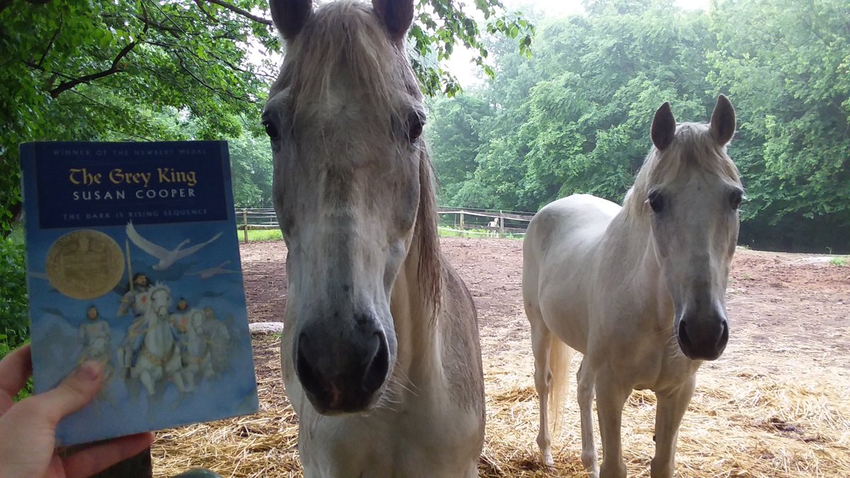 ReadwithRusty's tweet photo. Who's ready for an adventure? Thor and Timmy are! Today they read The Grey King by Susan Cooper. What are you reading?

Comment with your book, and give Rusty a treat on our special Wednesday video this week!

#adventure #reading #horses https://t.co/Rq657VqUOr