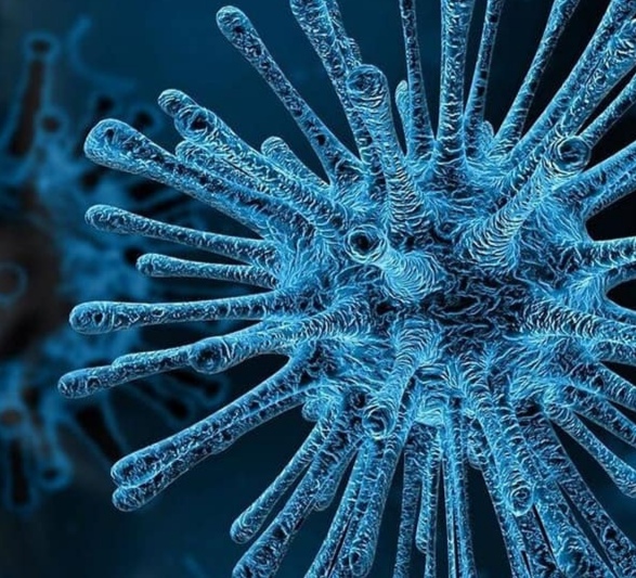 VerteAzul's tweet photo. Nuevo caso positivo de Coronavirus en Azul.
Desde el Municipio lo informaron hace instantes, se trata de una mujer que fue hisopada ayer; la misma trabaja en Olavarría y reside en Azul. https://t.co/wOxnRs3y8t