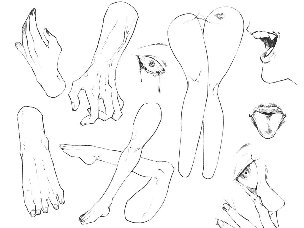 新しい絵がなかなか上げられないので過去絵でも上げようかと思ったんですけど何上げていいか分かんなくなったので過去の部位絵をそっと放流 絶対前も上げたこれ 
