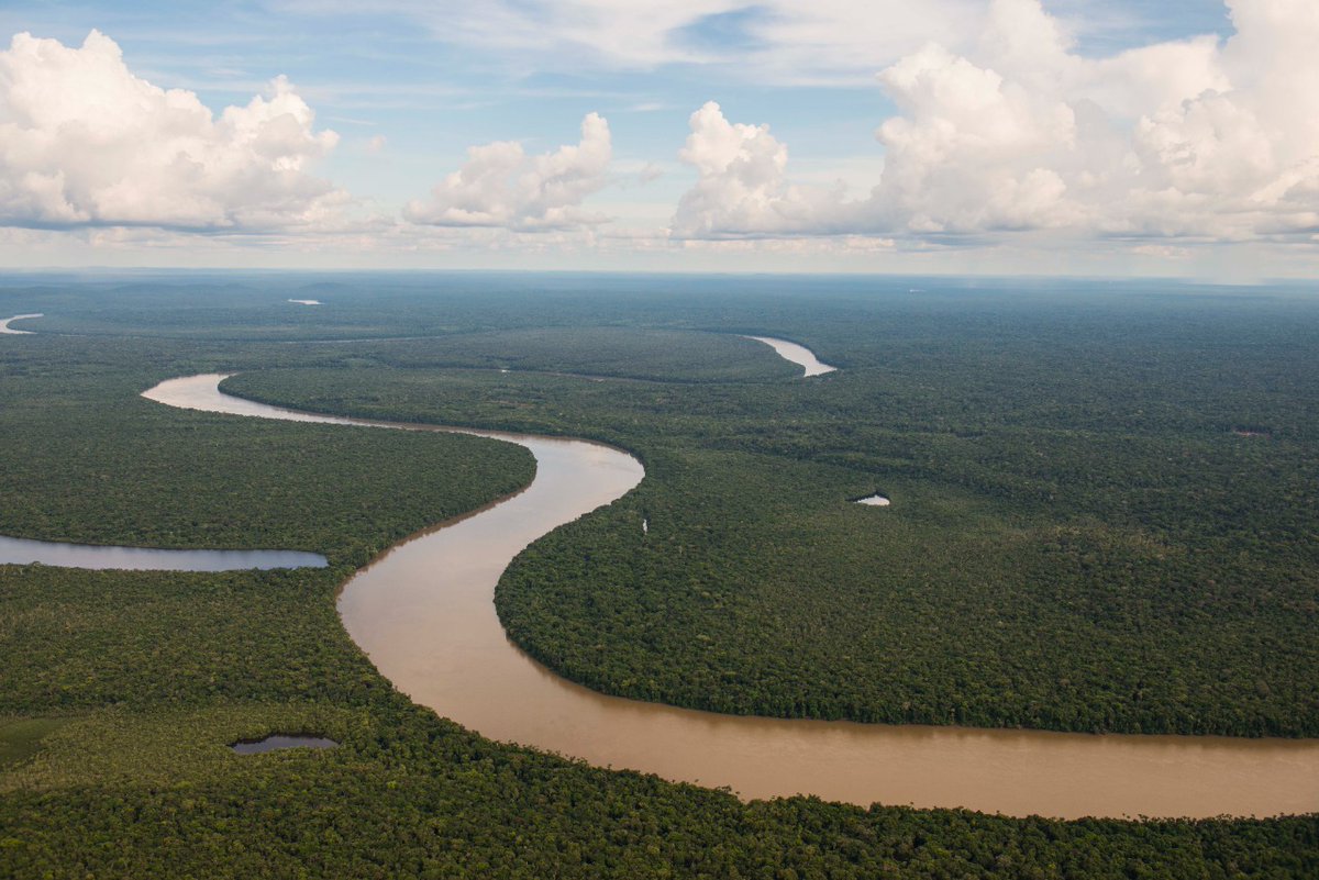 Did you know #Colombia is one of the most biodiverse countries in the world? Here’s a small sample of an amazing place where you can be immersed in lush nature and discover countless species of plants and animals: the Amazon 🇨🇴 #NaturePhotographyDay