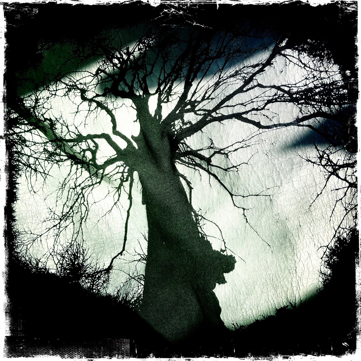 andrew kotting tweet media