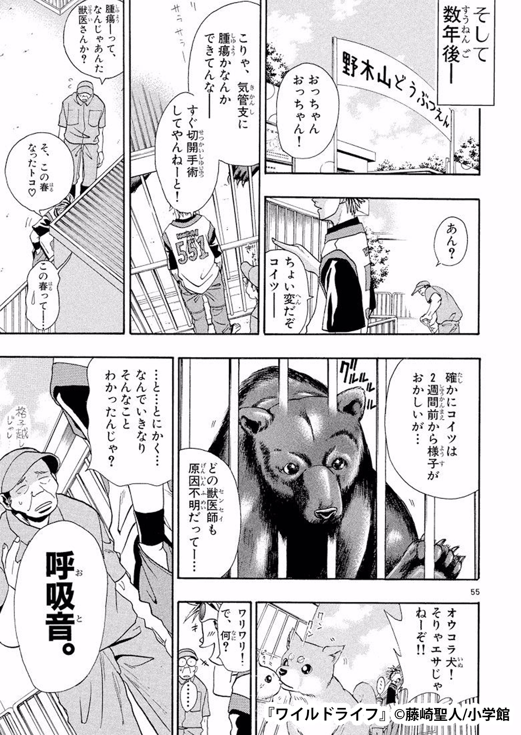 愛梨 スターク インダストリーズに入社希望です ワイルドライフ いい漫画なので まだ読んでない方は 是非 Twitter