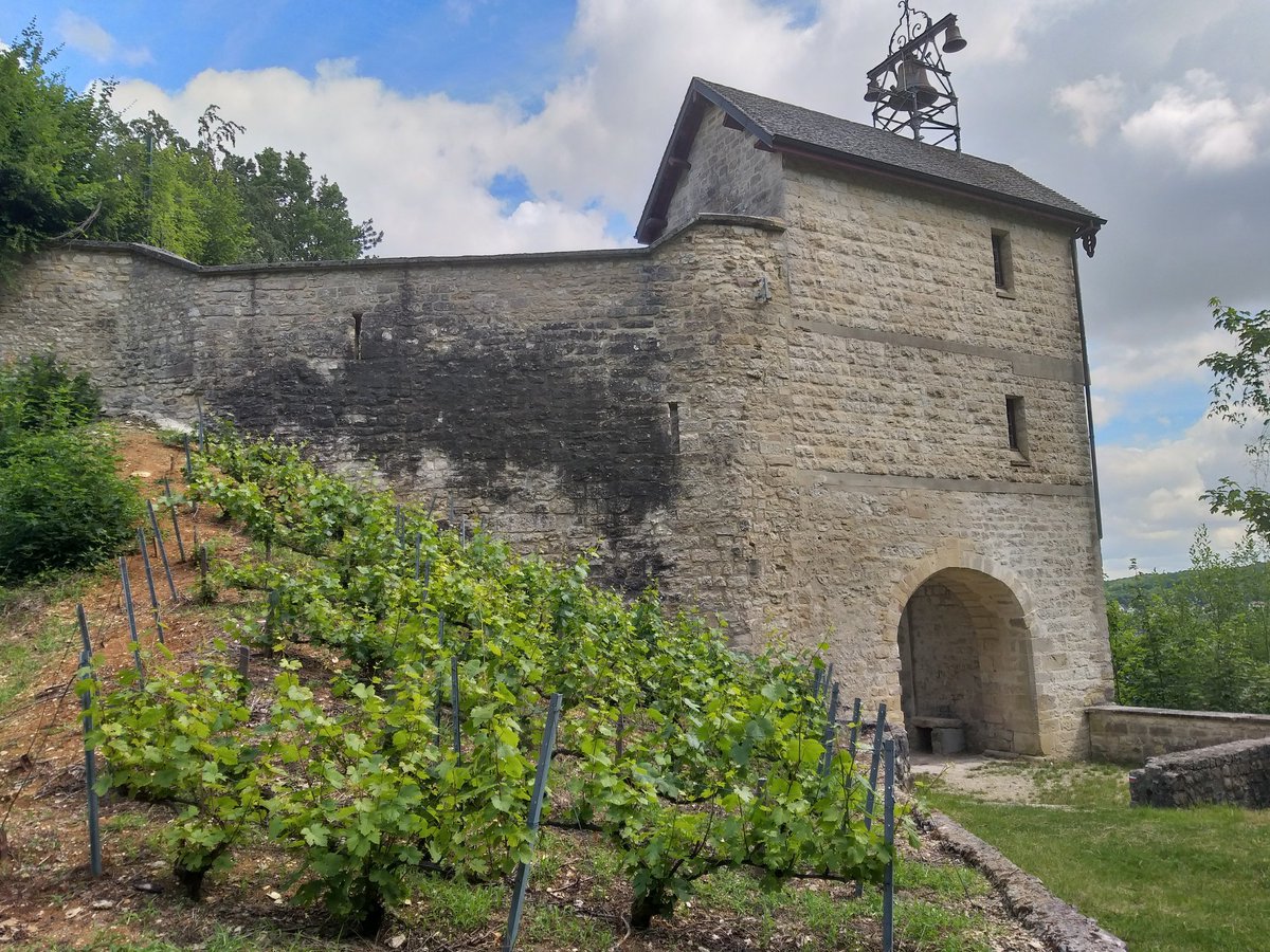 jerome_sauvage's tweet photo. #COVID19 #Deconfinement #sightseeing #cotedesbartourisme
Premier resto et premier plat du jour depuis début mars, à Bar-sur-Seine, dans l'Aube... La nette impression que cette très mauvaise parenthèse se referme définitivement !! https://t.co/8exwENkDiR