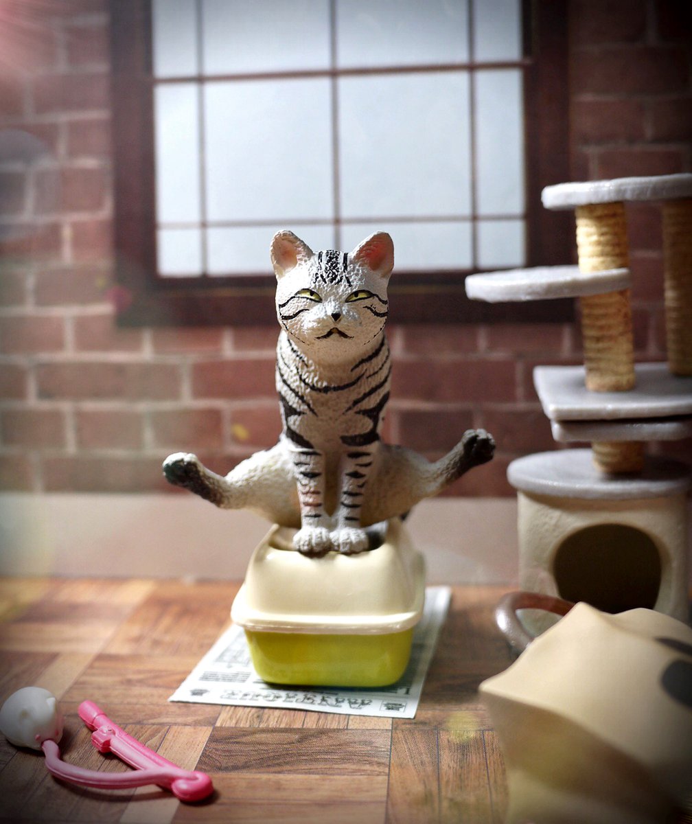 Lefty บนทว ตเตอร おもちゃ撮影会 6 15 テーマ 上半期ベストおもちゃ ガチャガチャの 猫の飼育セット これらの写真につかわれてるキャットタワーやトイレ他小道具です これをゲットしたおかげで猫フィギュアを使った撮影が格段に楽しくなった ガチャガチャ Lefty บนทว ตเตอร おもちゃ撮影会 6 15 テーマ 上半期ベストおもちゃ ガチャガチャの 猫の飼育セット これらの写真につかわれてるキャットタワーやトイレ他小道具です これをゲットしたおかげで猫フィギュアを使った撮影が格段に楽しくなった ガチャガチャ