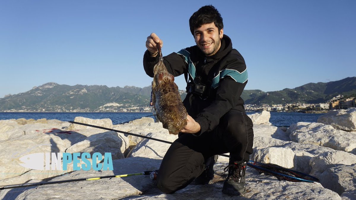 devasto_org's tweet image. Dalla scogliera pesca di seppie big dopo la quarantena devasto.org/2020/06/15/dal…