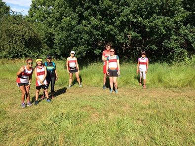 Team members took part in the virtual <a href="/Orion_Harriers/">Orion Harriers</a>  'John Clark Memorial Fell Race’ this weekend.The only Fell race inside the M25 is usually a big fixture but this year our runners took part in small groups following social distancing rules at all times #orion2020challengegp